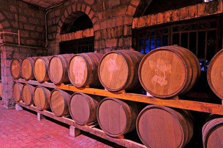 Wine cellar and wooden barrels