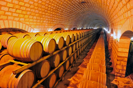 Wine cellar and wooden barrels