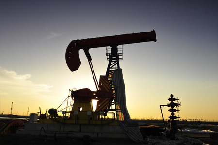 South excrementum bombycis mouth, oil pump, taken in the luanhe river in the north of Chinaの写真素材