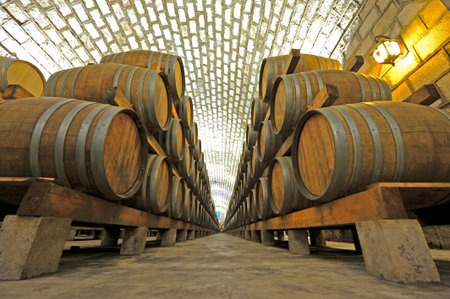 Wine cellar and wooden barrels