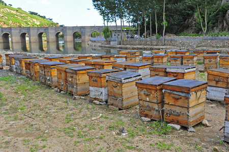 apiaryのeditorial素材