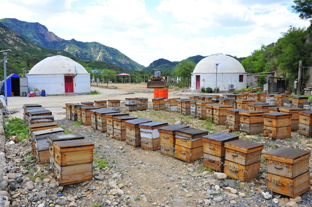 apiaryのeditorial素材