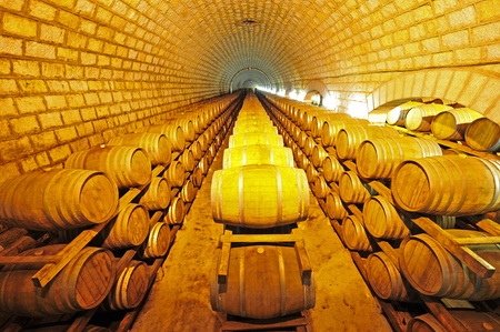 Wine cellar and wooden barrelsのeditorial素材