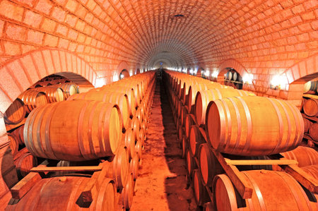 Wine cellar and wooden barrelsのeditorial素材