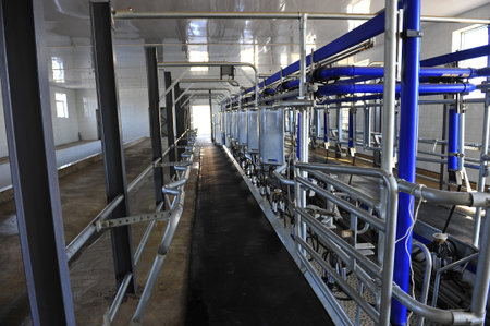 Milking equipmentの写真素材