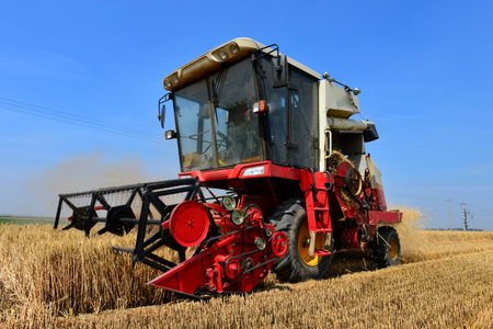 wheat Harvester