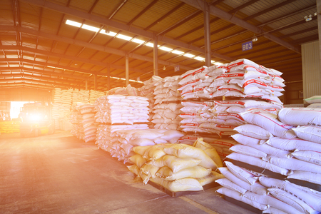 warehouseのeditorial素材