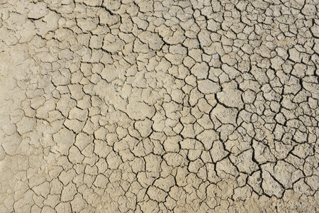 Dry soil cracking