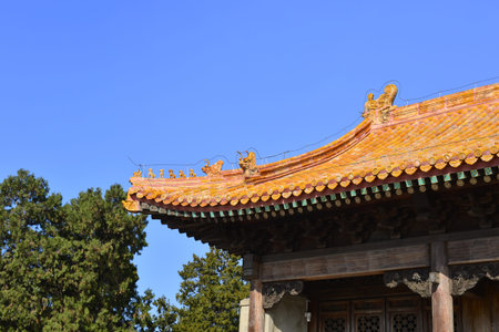 Ancient buildings eaves