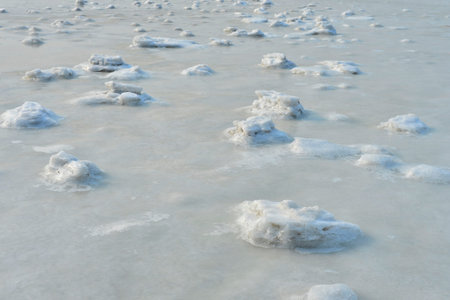 Snow ground during winter