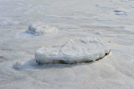 On winter sea ice