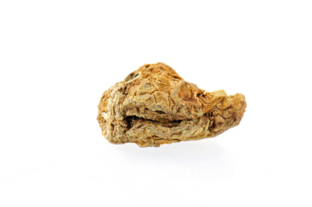 Ma-ca on white backgroundの写真素材