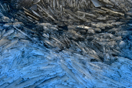 On winter sea ice