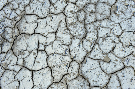 Dry soil cracking 