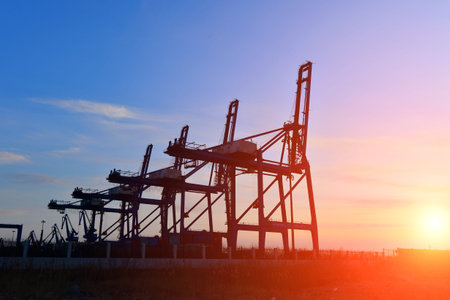 Port crane bridge and bulk carrier