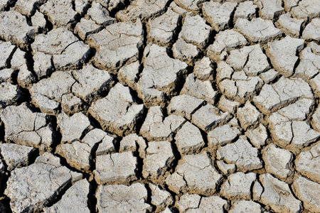 The parched soil