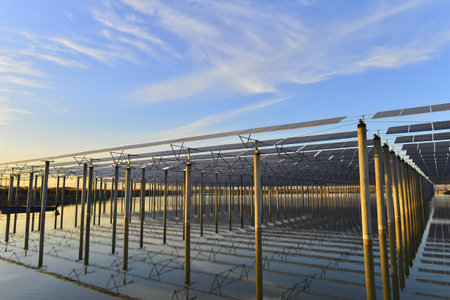 Solar photovoltaic panels and solar photovoltaic power generation systems