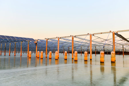 Solar photovoltaic panels and solar photovoltaic power generation systems