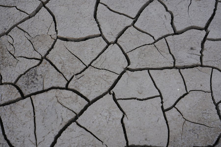 dry season with very arid terrain and little water broken soil virtually no vegetation