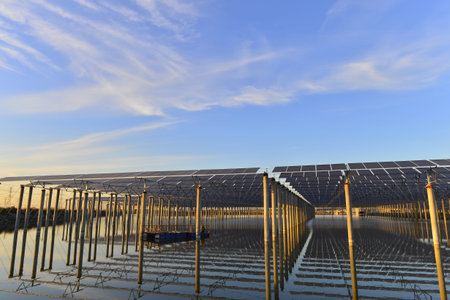 Solar photovoltaic panels and solar photovoltaic power generation systems