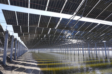 Solar photovoltaic panels and solar photovoltaic power generation systems