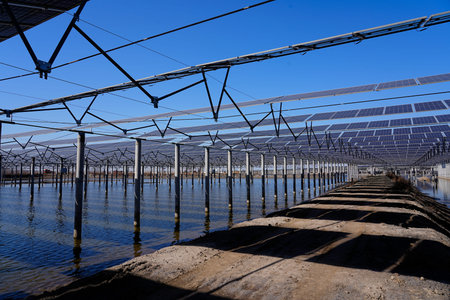 Solar photovoltaic panels and solar photovoltaic power generation systems