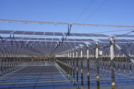 Solar photovoltaic panels and solar photovoltaic power generation systems