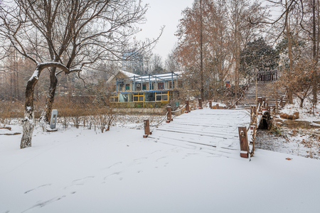 Snow Parkのeditorial素材