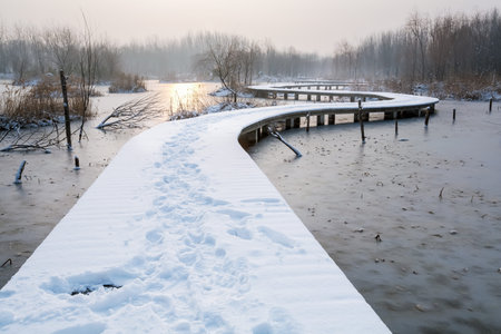 Wetland snow bridge sceneryの写真素材