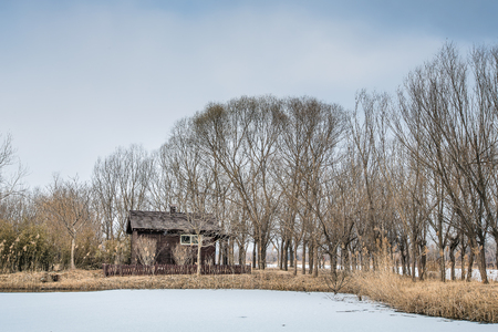 Wetland snow sceneryのeditorial素材