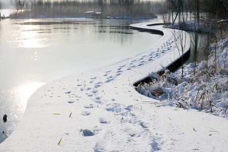 The snow of the wetlandの写真素材