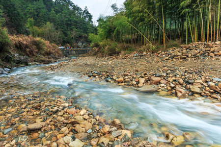The river at forestの写真素材