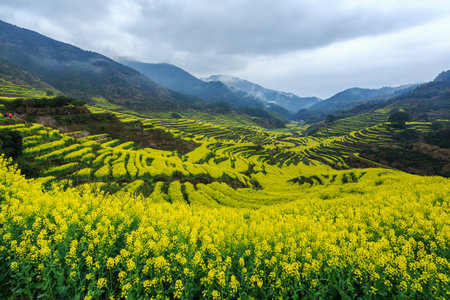 Huang Ling springの写真素材