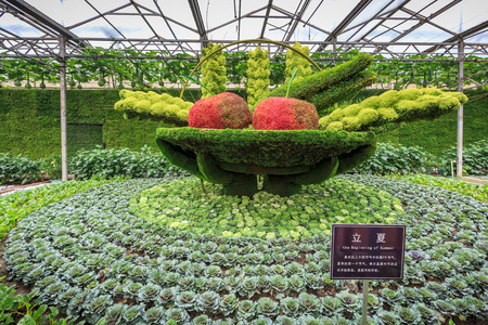 A glimpse of the Vegetable Fairのeditorial素材