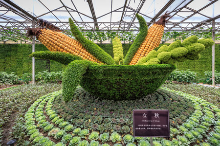 A glimpse of the Vegetable Fairのeditorial素材