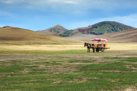 The prairie in autumnの写真素材