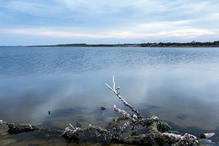 The seashoreの写真素材