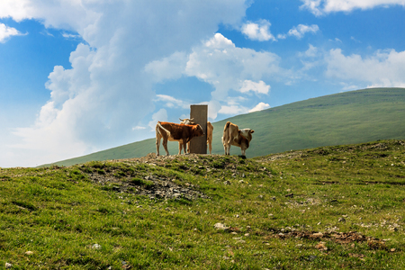 Mount Wutai sceneryの写真素材