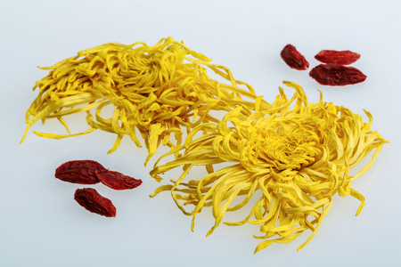 Chrysanthemumの写真素材