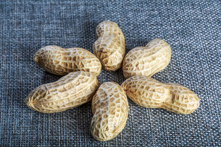 peanutの写真素材