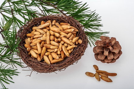 Brazilian pine nutsの写真素材
