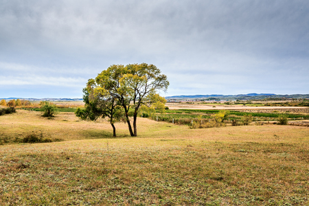 Ulan Butong grassland autumnの写真素材