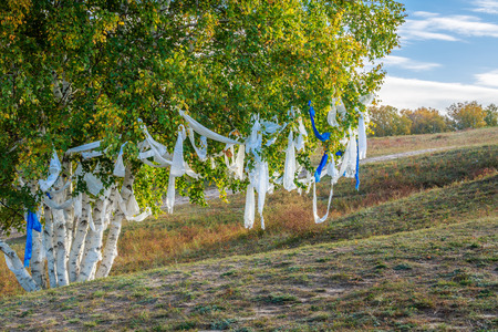 Autumn birch trees on the Ulan Buddhism damの写真素材