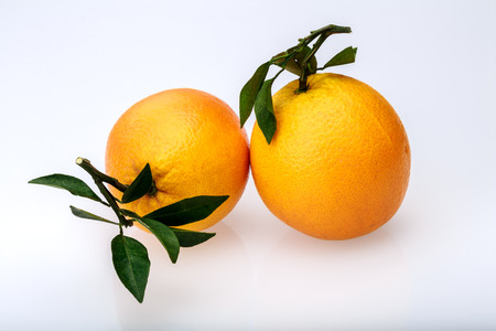 Navel orangesの写真素材