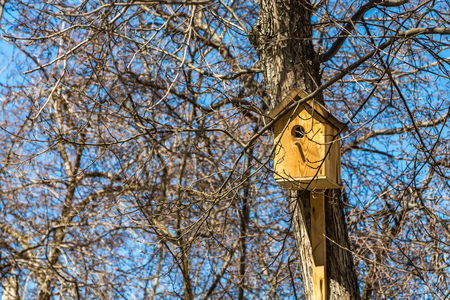 A birdhouse for birds from yellow new boards is hanging on a brown tree in early springの写真素材