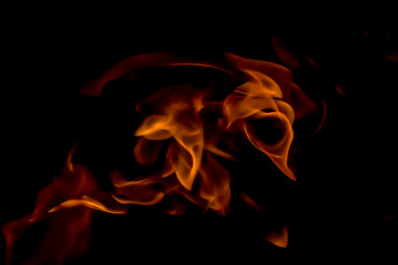 A beautiful horizontal texture of a burning fire on a black background with sparks is in the photoの写真素材