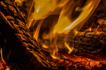 A beautiful horizontal texture of a burning fire on a black background with sparks is in the photo