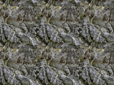 A seamless pattern of texture of gray bark of old tree with knots and cracks is in the photo