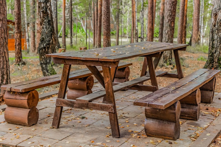 A wet wooden brown table with benches with yellow leaves in an autumn pines and birches forest