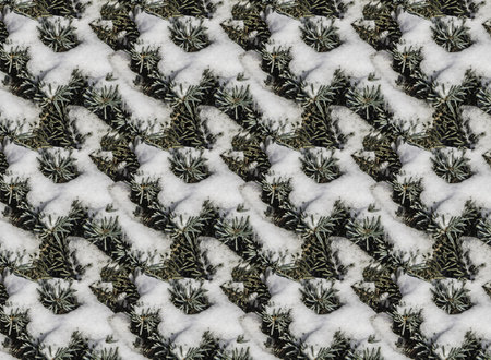 A seamless pattern texture of twigs of a fir-tree with blue and green spruce needles and white snow...